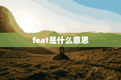 feat是什么意思